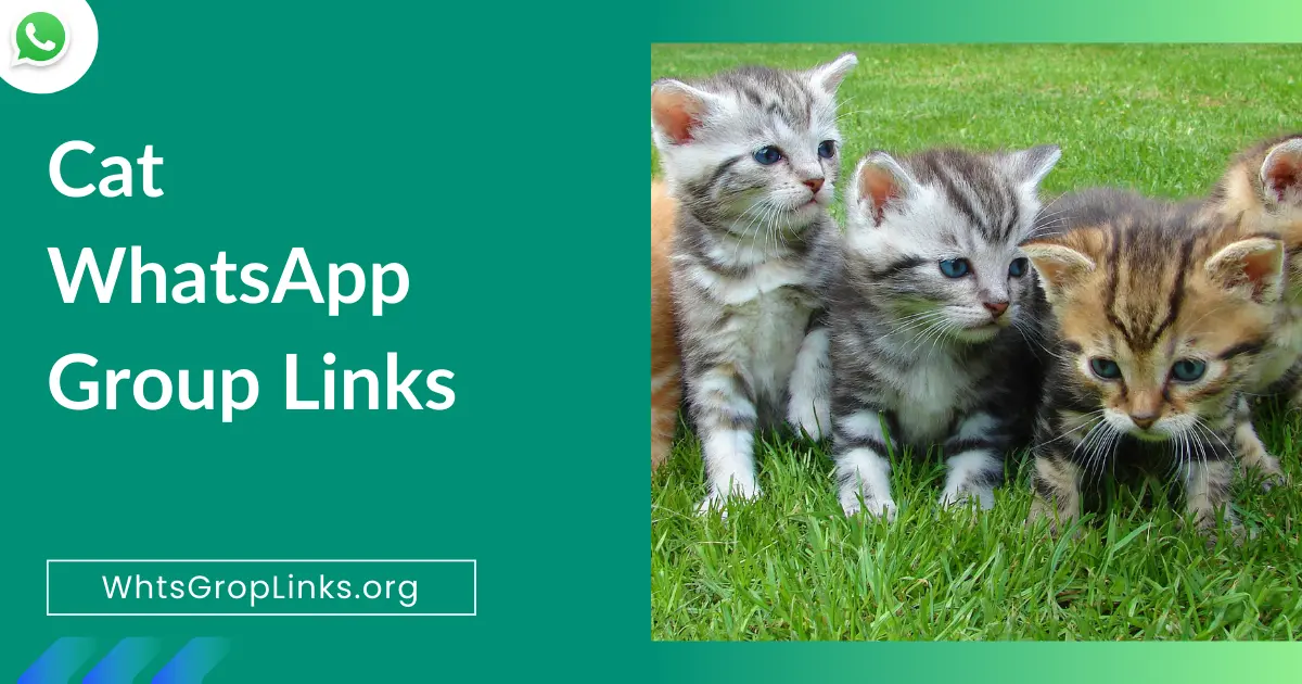 Cat WhatsApp Group Links