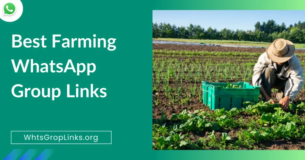 Farming WhatsApp Group Links