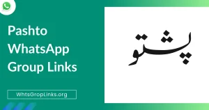 Pashto WhatsApp Group Links