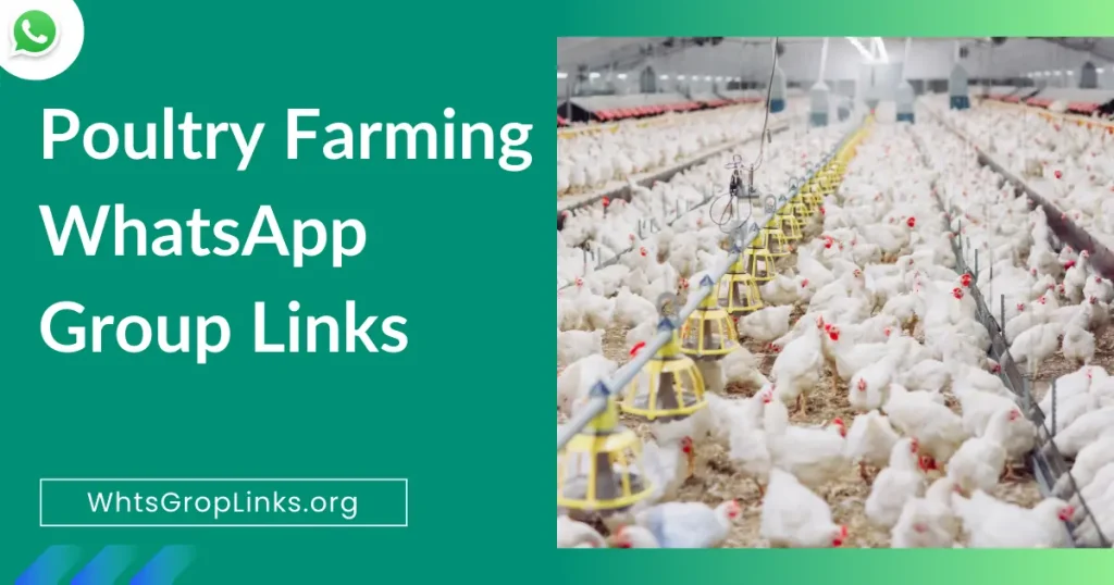 Poultry Farming WhatsApp Group Links